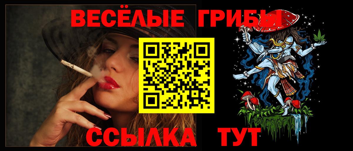 Чернушка  где можно купить   Псилоцибиновые грибы мухоморы  Вход с VPN  Псилоцибиновые грибы Magic Shrooms 